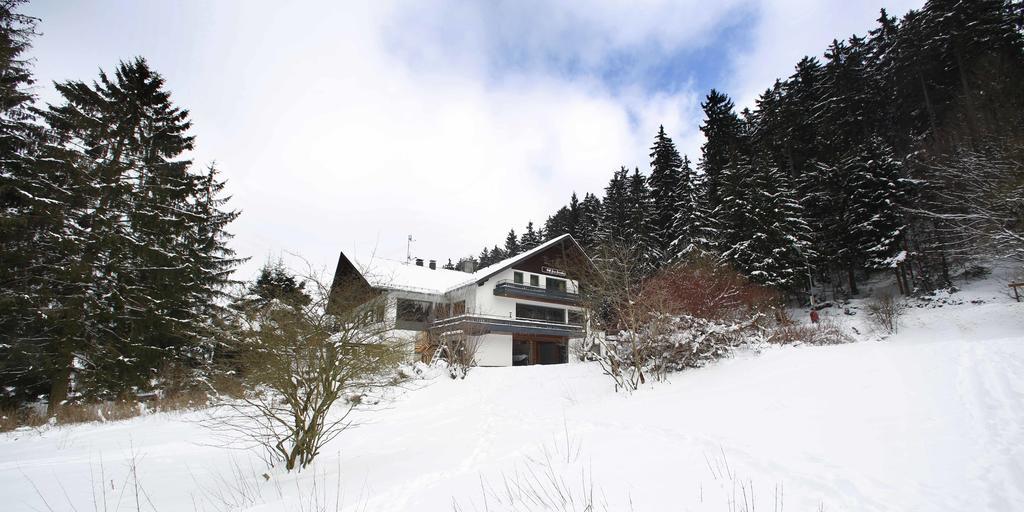 Hotel-Pension Zum Paradies Willingen  Εξωτερικό φωτογραφία