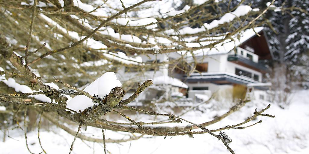 Hotel-Pension Zum Paradies Willingen  Εξωτερικό φωτογραφία