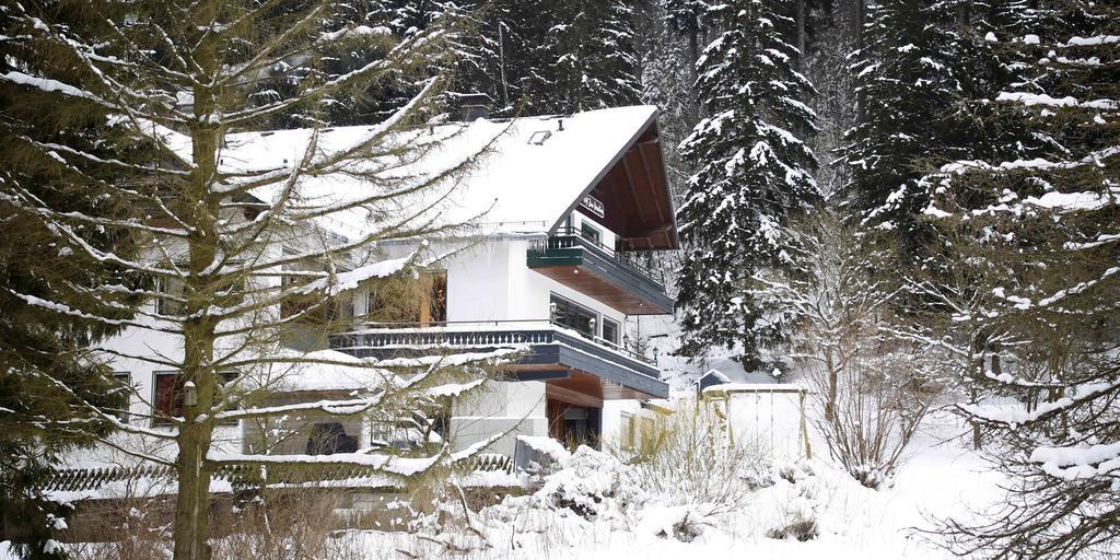 Hotel-Pension Zum Paradies Willingen  Εξωτερικό φωτογραφία