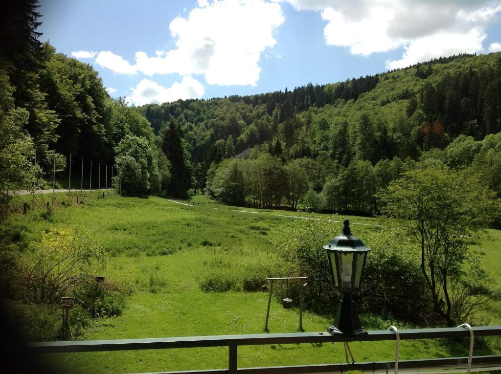 Hotel-Pension Zum Paradies Willingen  Εξωτερικό φωτογραφία