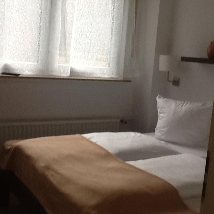 Hotel-Pension Zum Paradies Willingen  Εξωτερικό φωτογραφία